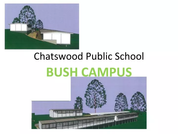 chatswood public school n.
