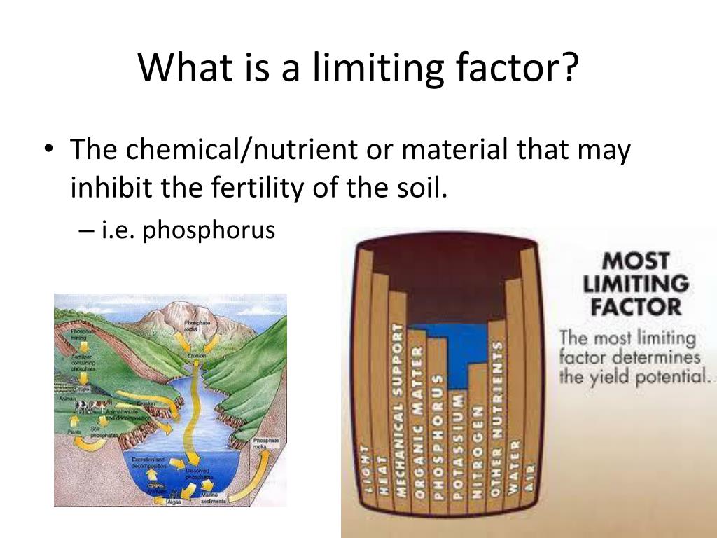 PPT Soil Composition PowerPoint Presentation, free download ID1881467