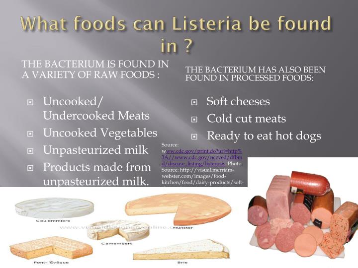 PPT Listeria PowerPoint Presentation ID1882185
