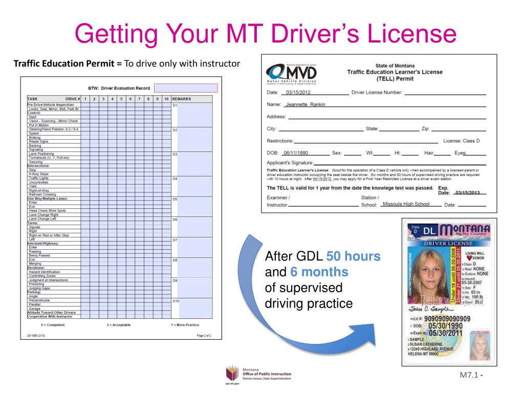 PPT Montana Teen Driver Education and Training PowerPoint