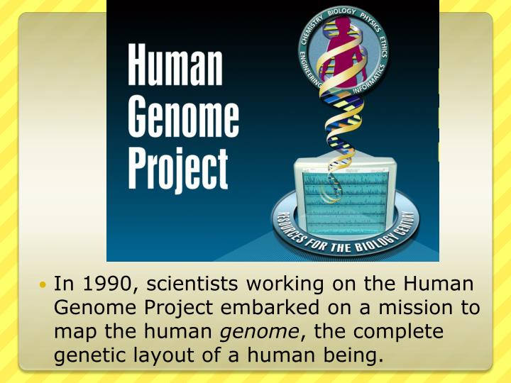 a view on the humane genome project The cathlic church has not made any formal statements about the human genome project as such but the present pope, john paul ii, has commented, albeit very briefly, on various aspects of genetic manipulation genetic interventions which are therapeutic (eg gene therapy), namely, directed to the. a view on the humane genome project The cathlic church has not made any formal statements about the human genome project as such but the present pope, john paul ii, has commented, albeit very briefly, on various aspects of genetic manipulation genetic interventions which are therapeutic (eg gene therapy), namely, directed to the.