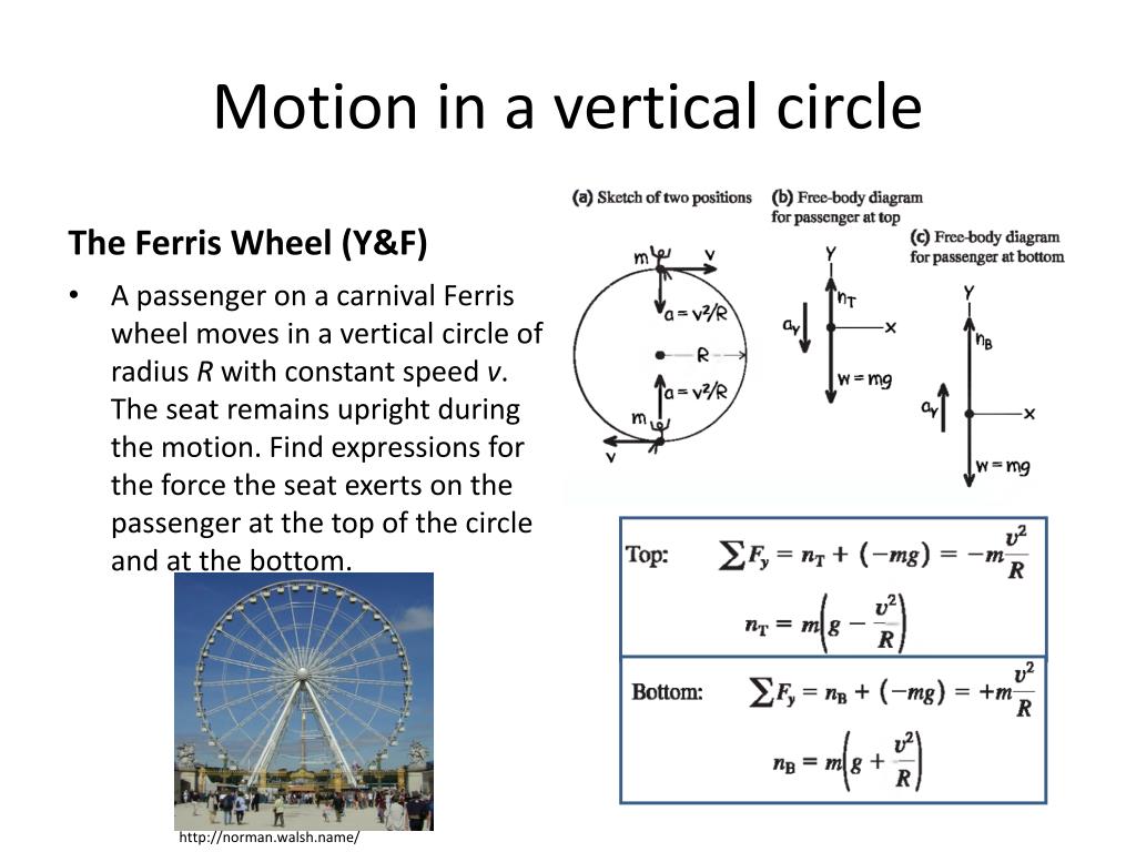 Ferris wheel free body diagram