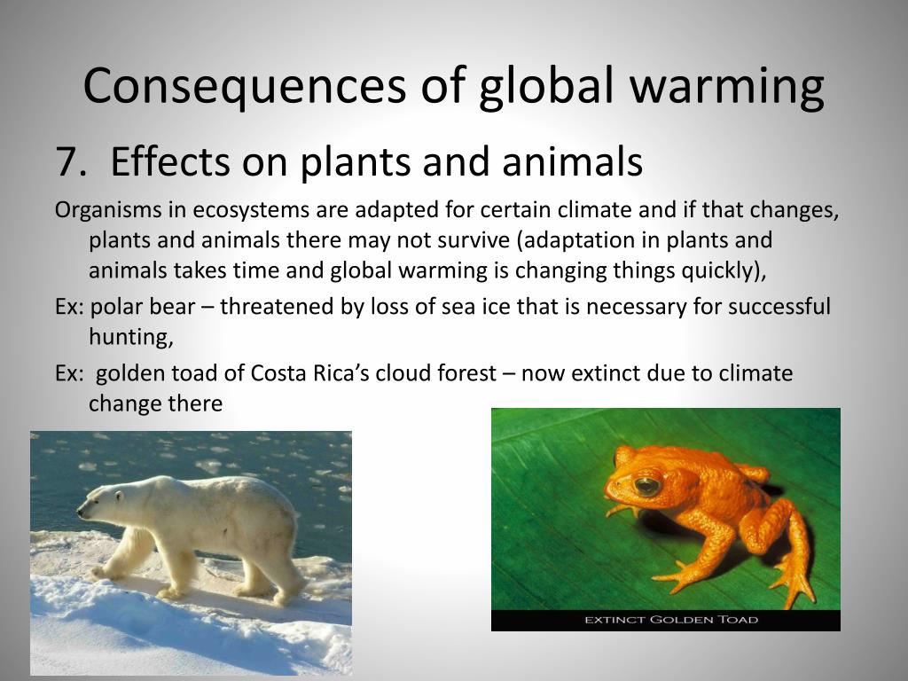 Effects of global warming. Consequences of Global warming. Climate change and Global warming. Глобальное потепление на английском.