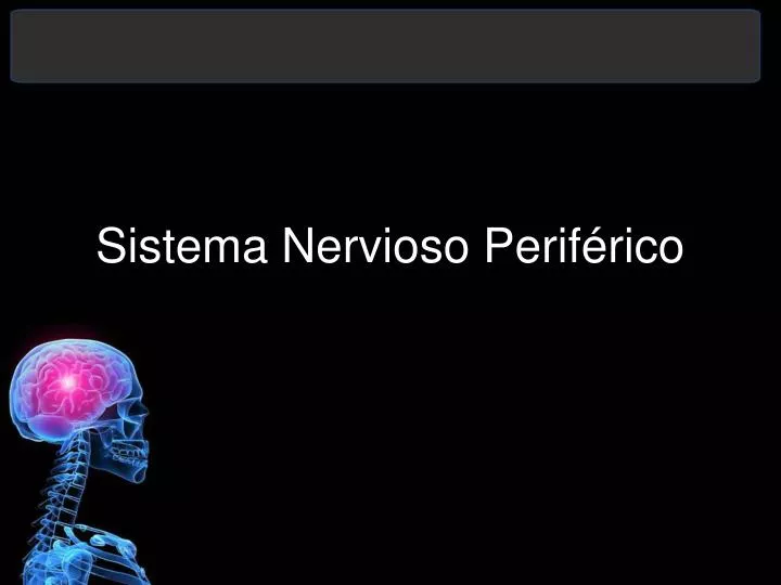 PPT Sistema Nervioso Perif rico PowerPoint Presentation Free