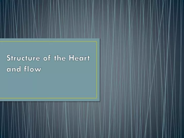 structure of the heart and flow n.