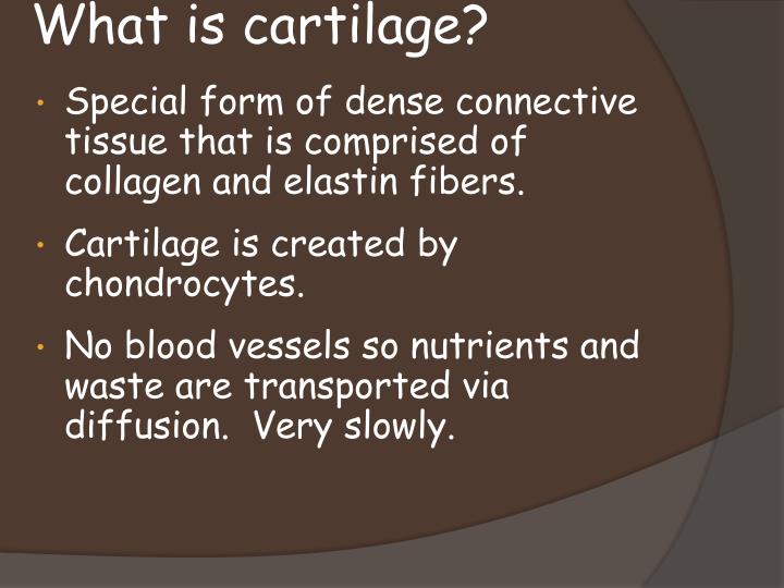 a description of cartilage as special form of connective tissue a description of cartilage as special form of connective tissue