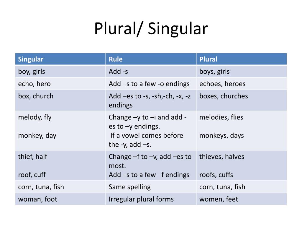 Dish plural. Singular plural. Singular plural правило. Noun singular and plural правило. Singular and plural forms правило.