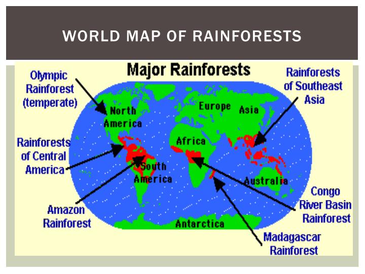 Tropical Rainforest World Map United States Map - vrogue.co