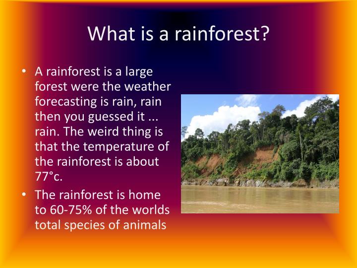 what are rainforests what are rainforests