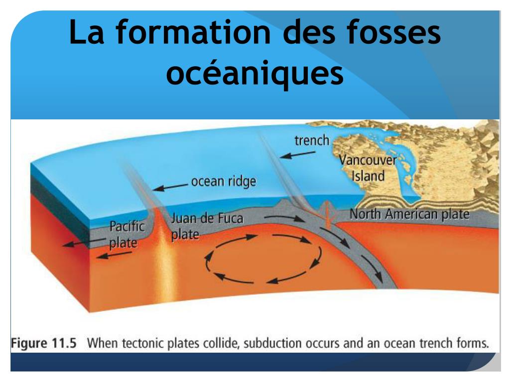 Qu'est-ce que le fossé qui oppose les eloïs et les morlocks