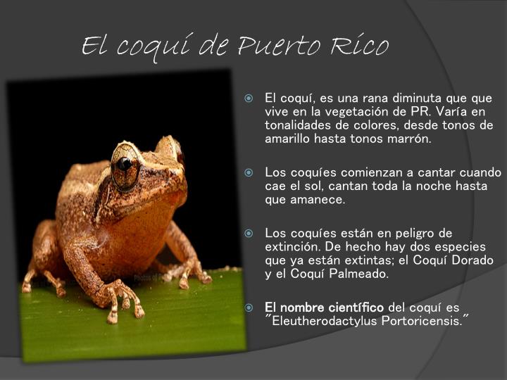 PPT - Puerto Rico PowerPoint Presentation - ID:1891492