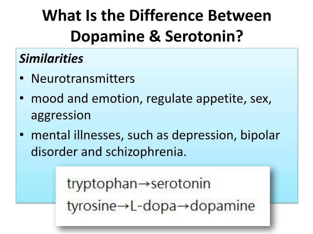 Dopamine Vs Serotonin Difference