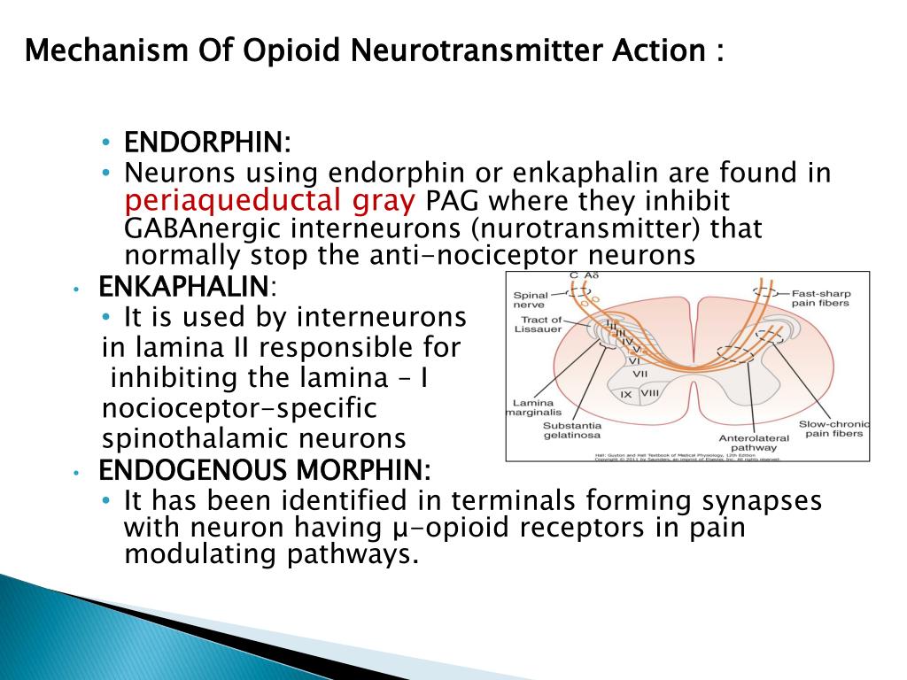 Pain part 1: introduction to pain | Dental Update, image size:1024x768