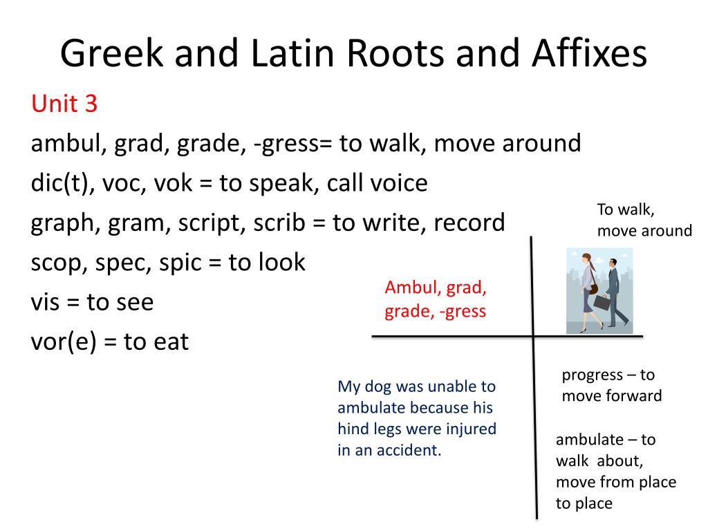 Greek And Latin Roots And Affixes Chart