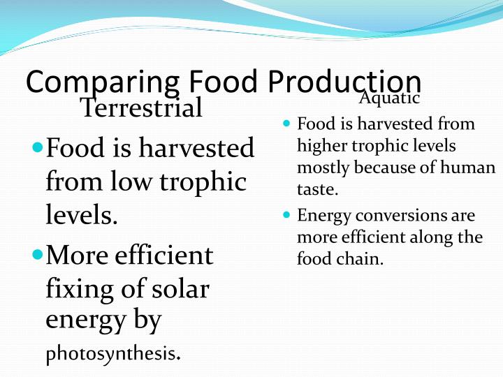 comparing the food 3 global and regional food consumption patterns and trends 31 introduction promoting healthy diets and lifestyles to reduce the global burden of noncommunicable diseases requires a multisectoral approach involving the. comparing the food 3 global and regional food consumption patterns and trends 31 introduction promoting healthy diets and lifestyles to reduce the global burden of noncommunicable diseases requires a multisectoral approach involving the.