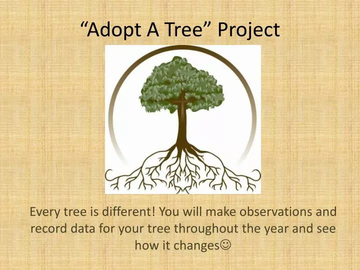 adopt a tree project n.