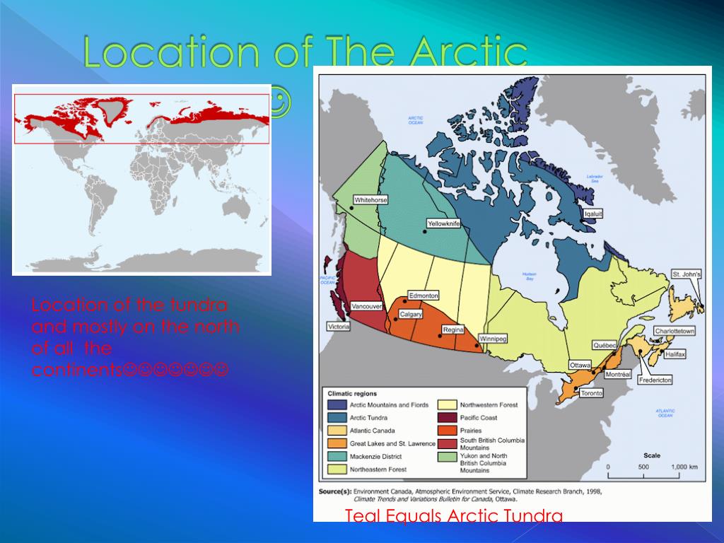 Ppt The Arctic Tundra Powerpoint Presentation Free Download Id1892893