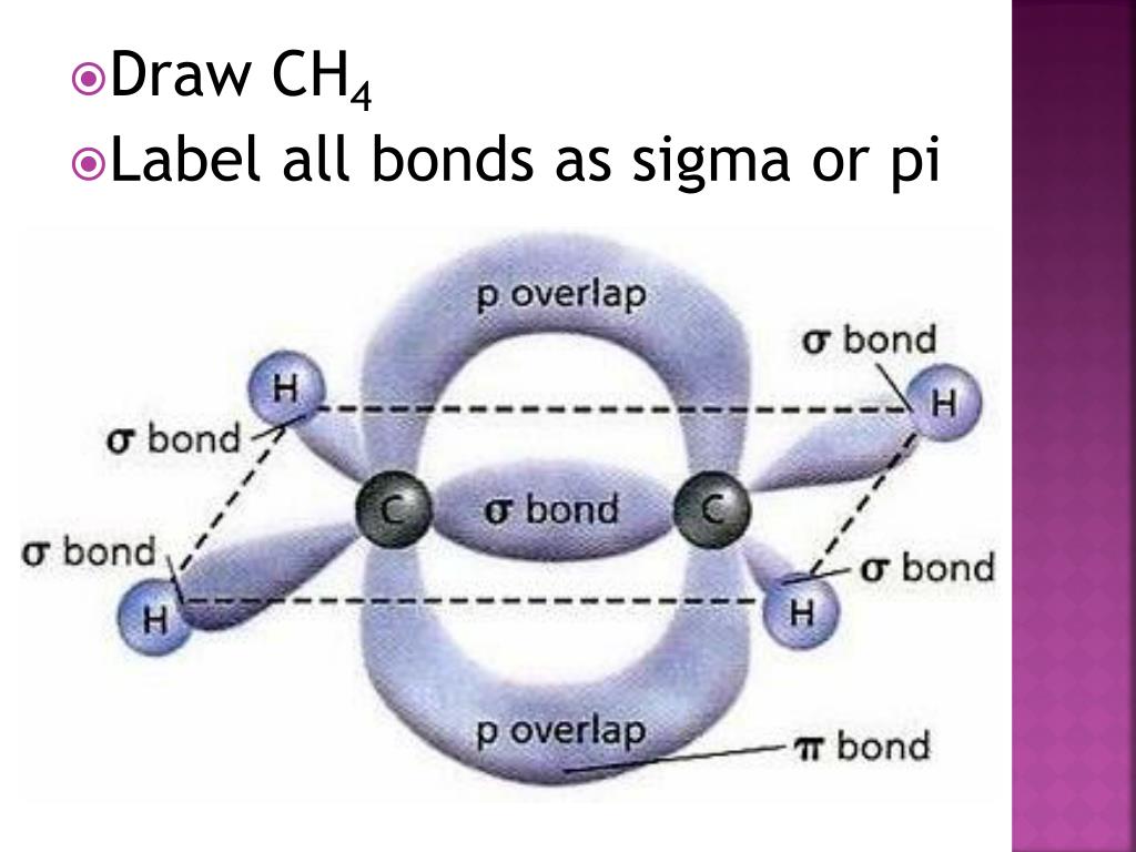 Label all bonds as sigma or pi.