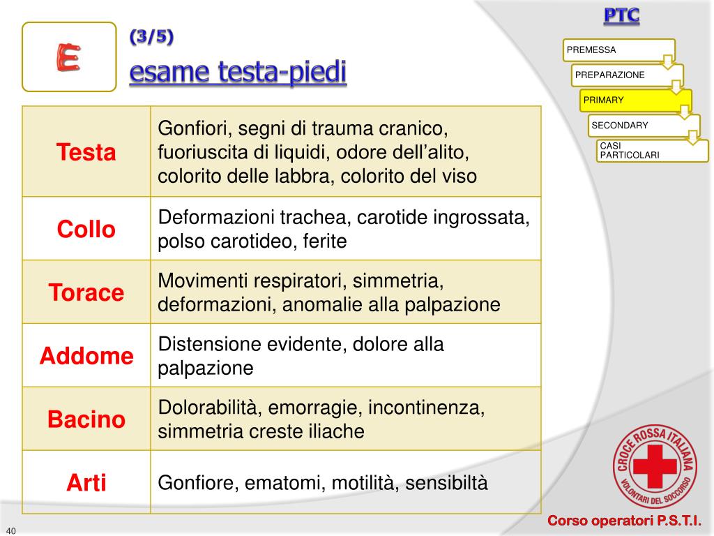 PPT - CROCE ROSSA ITALIANA Volontari del Soccorso - Corso operatori  P.S.T.I. PowerPoint Presentation - ID:1894682