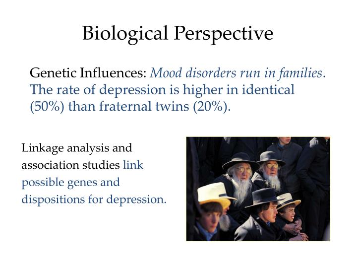 biological approach to depression