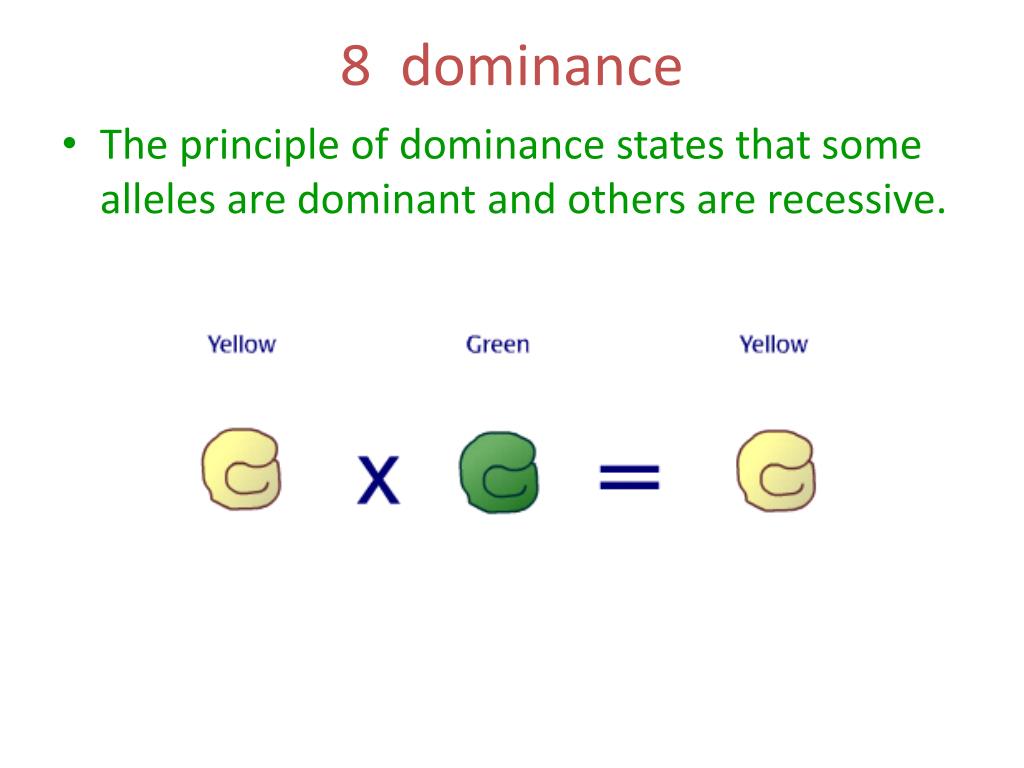 definition dominance hypothesis
