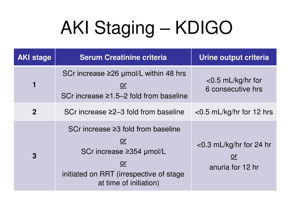 PPT Acute Kidney Injury PowerPoint Presentation Free Download ID PPT Acute Kidney Injury PowerPoint Presentation Free Download ID