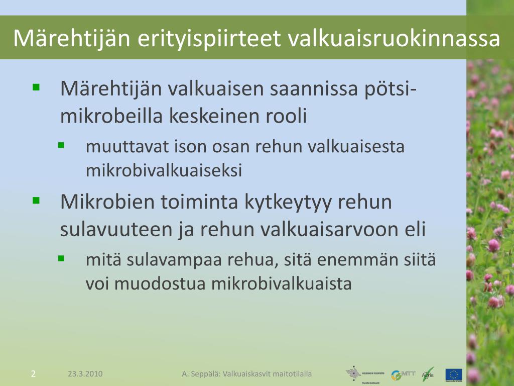 PPT - Valkuaiskasvit Maitotilalla - Herne, Rypsi Ja Härkäpapu Nautojen ...