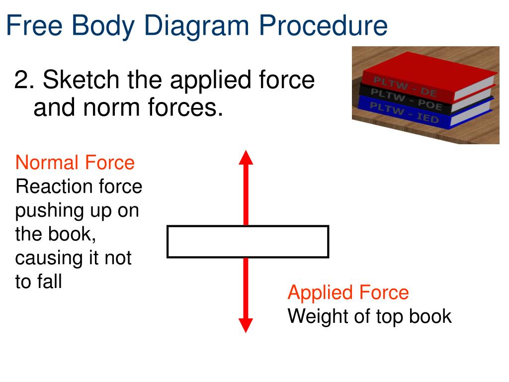 examples of body diagrams