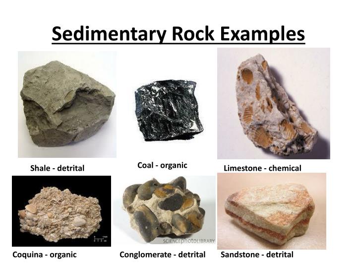 What Are Sedimentary Rocks