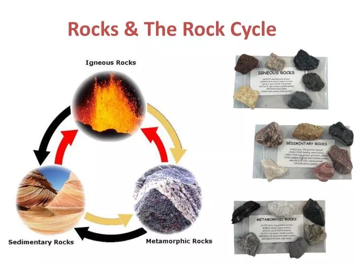 Ppt Rocks The Rock Cycle Powerpoint Presentation Free Download Id 1896777