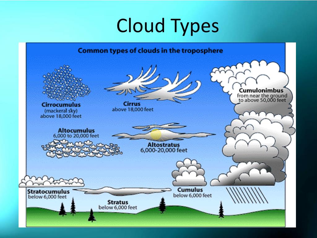 PPT - Clouds PowerPoint Presentation, free download - ID:1897994