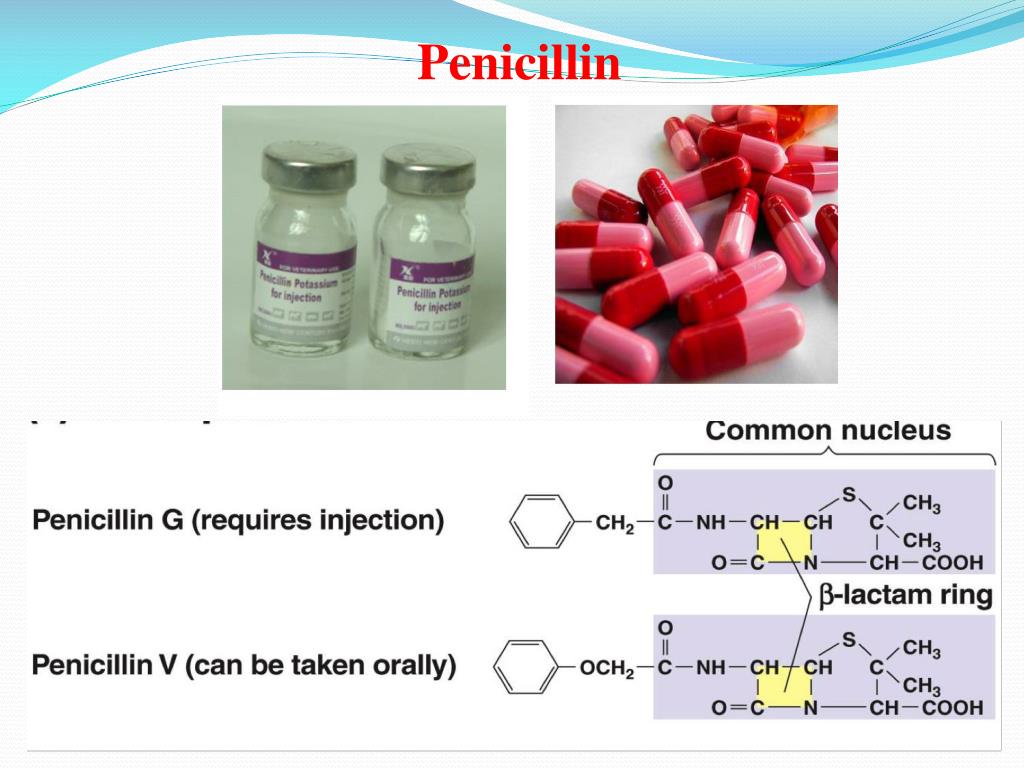 Пенициллины действуют