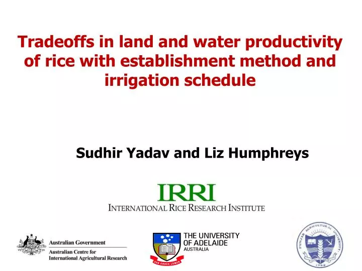 tradeoffs in land and water productivity of rice with establishment method and irrigation schedule n.