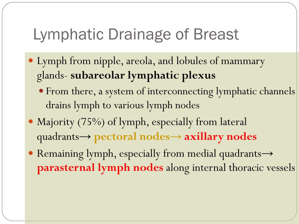 Lymphatic Drainage Of Mammary Gland Ppt Best Drain Photos Primagemorg