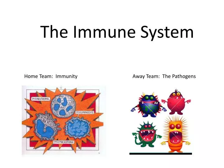 PPT The Immune System PowerPoint Presentation Free Download ID 1899583