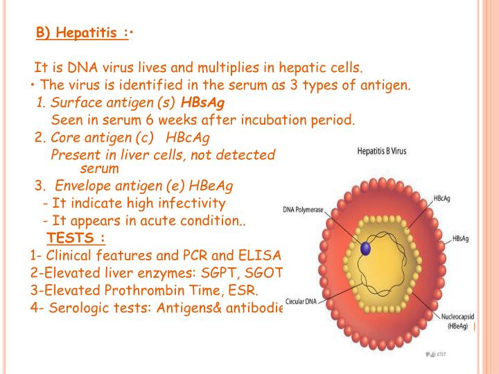 acid fast baccilli Looking for online definition of acid-fast bacilli in the medical dictionary acid-fast bacilli explanation free what is acid-fast bacilli meaning of acid-fast. acid fast baccilli Looking for online definition of acid-fast bacilli in the medical dictionary acid-fast bacilli explanation free what is acid-fast bacilli meaning of acid-fast.