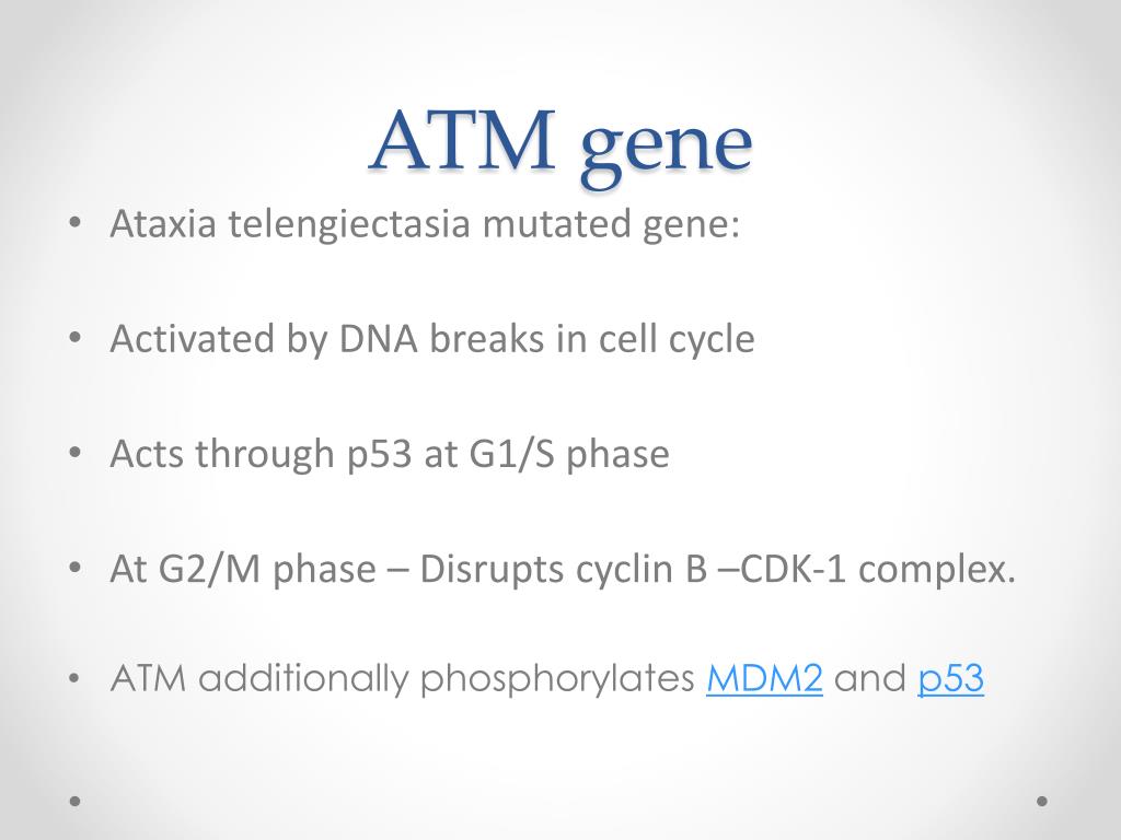 PPT DNA Repair Mechanisms PowerPoint Presentation Free Download ID 