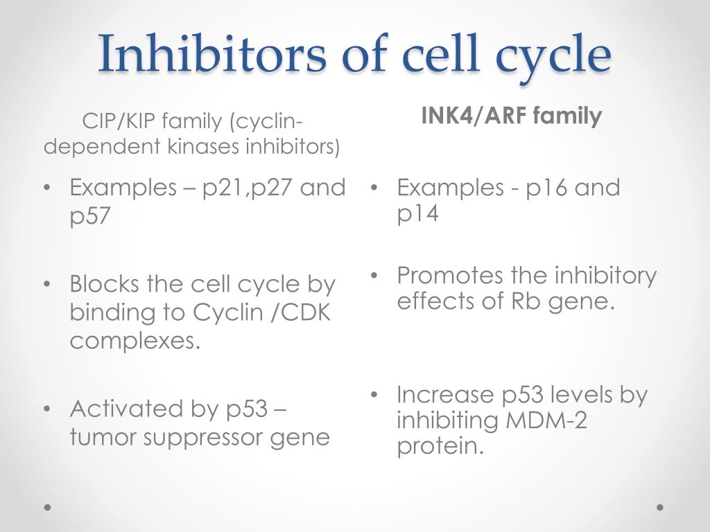 DNA repair mechanisms PowerPoint Presentation, free download Biology Diagrams