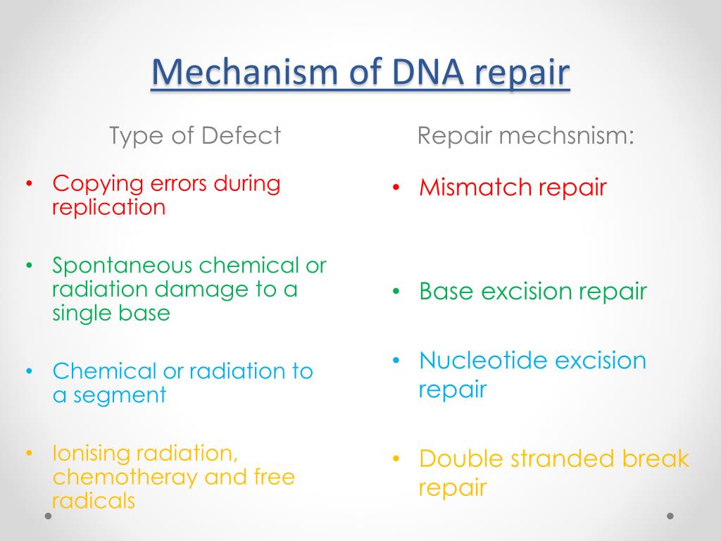 DNA repair mechanisms PowerPoint Presentation free download Biology Diagrams