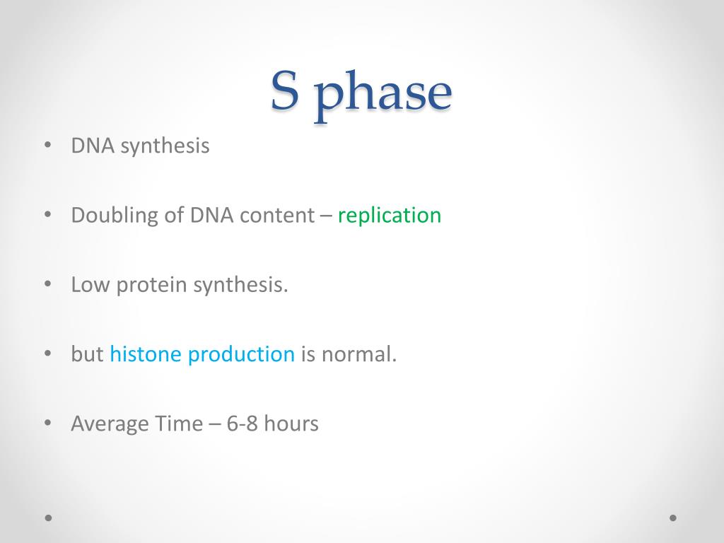 DNA repair mechanisms PowerPoint Presentation free download Biology Diagrams
