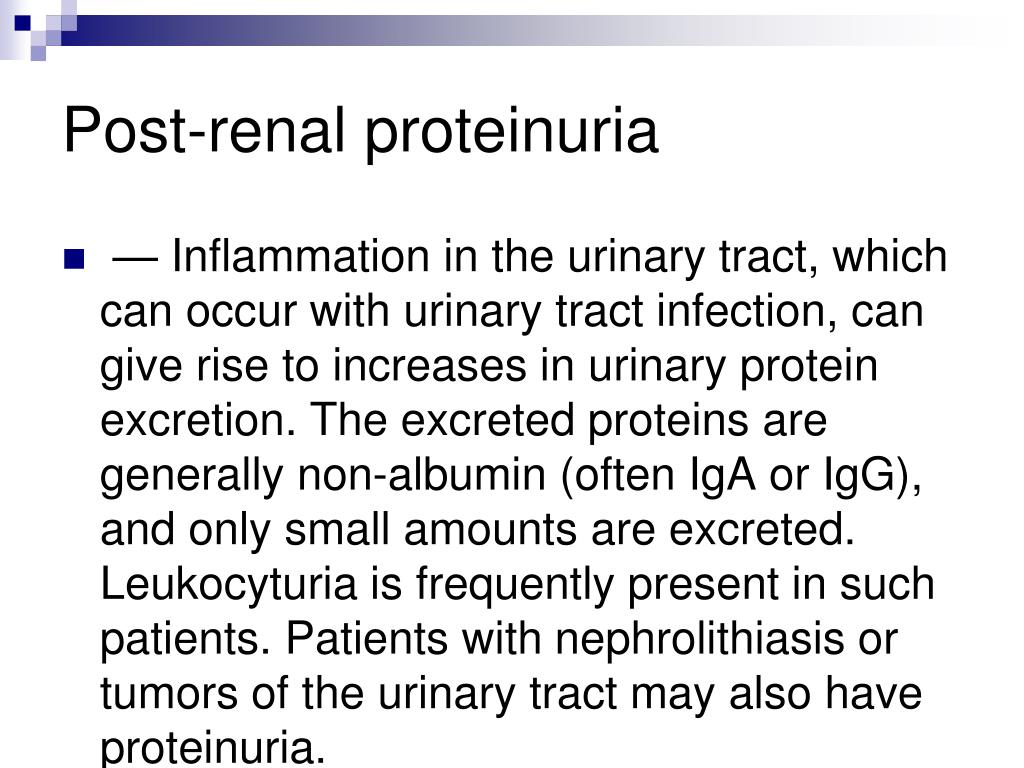 PPT Nephrotic syndrome Dr.Minoo nephrologist TUMS PowerPoint Presentation ID1900431