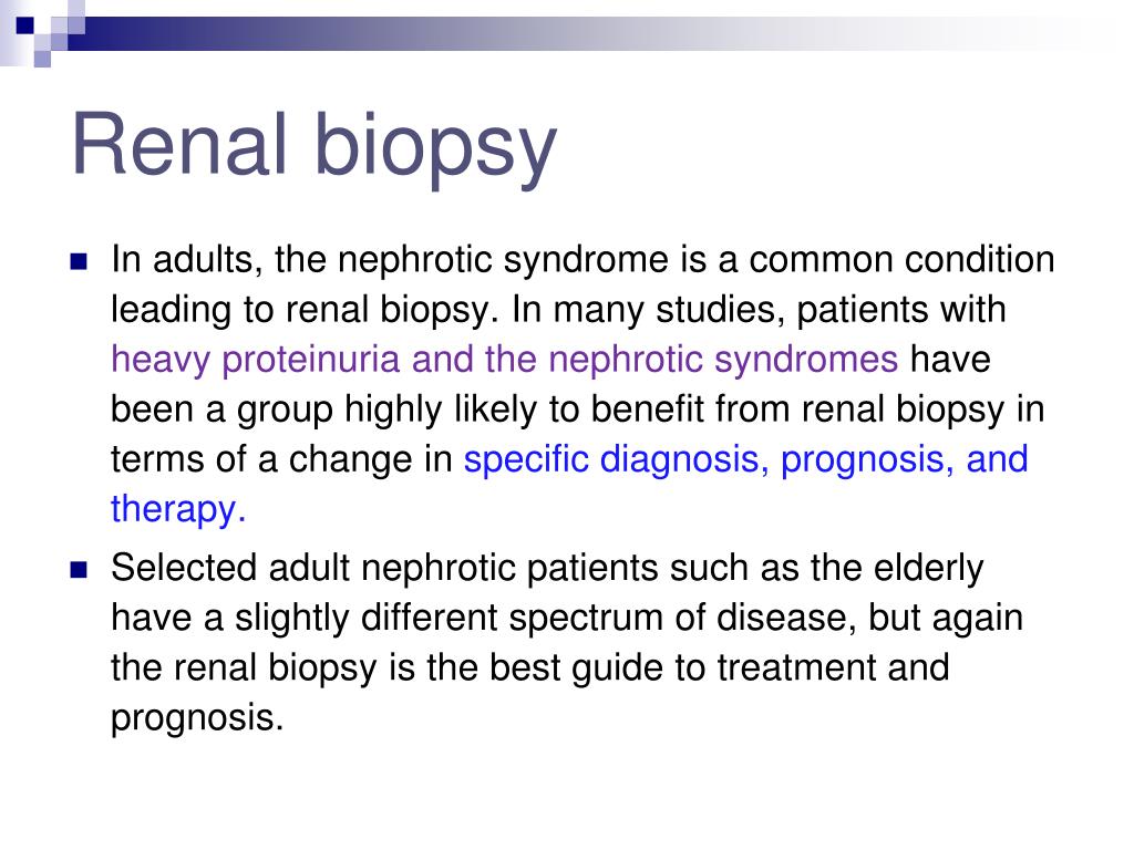 PPT Nephrotic syndrome Dr.Minoo nephrologist TUMS PowerPoint Presentation ID1900431