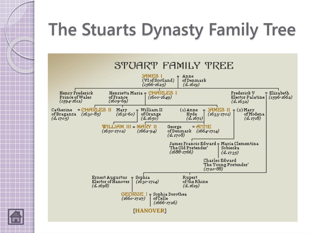 1 реставрация династии стюартов в англии. Династия Стюартов в Англии Древо. Династия Тюдоров в Англии генеалогическое дерево.