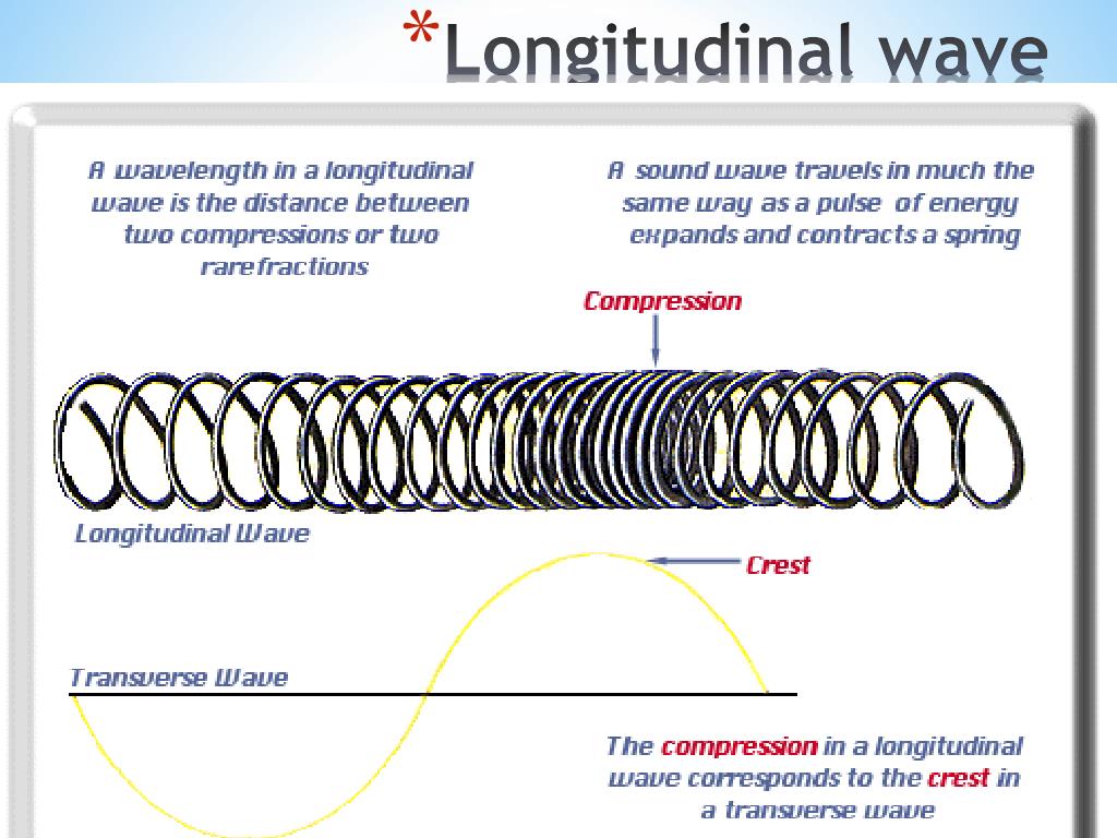 PPT - Chapter 11: Waves PowerPoint Presentation, free download - ID:1901329