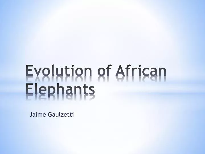 evolution of african elephants n.