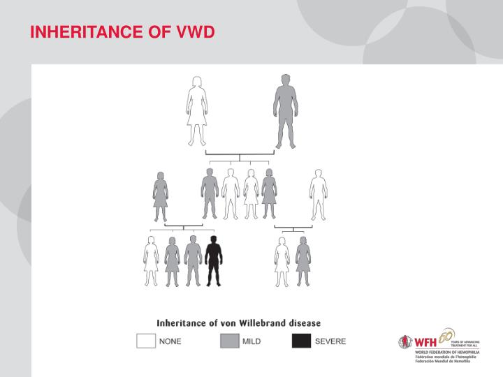 PPT Von willebrand disease PowerPoint Presentation ID1903513