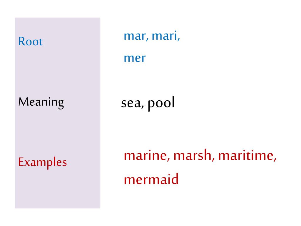 yacht root meaning