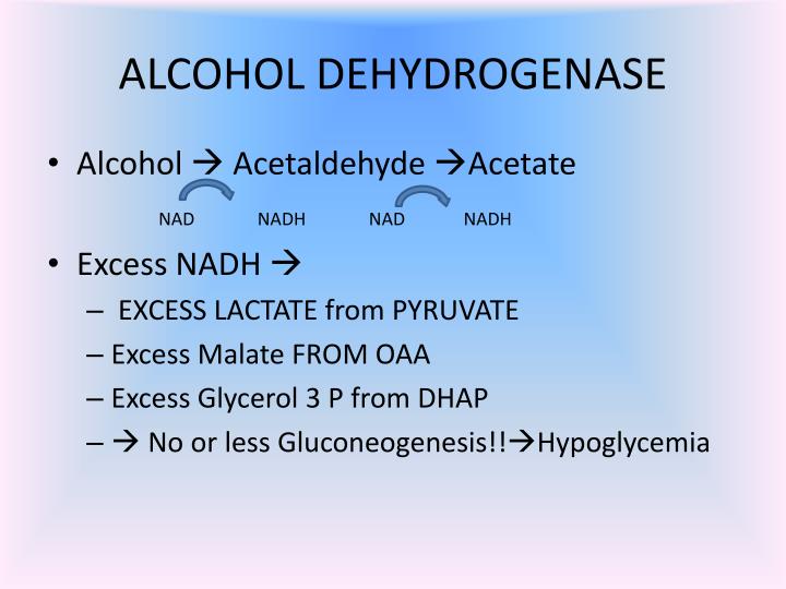 PPT Gluconeogenesis PowerPoint Presentation ID1904138