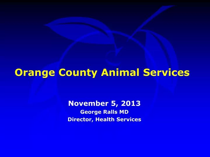 orange county animal services n.