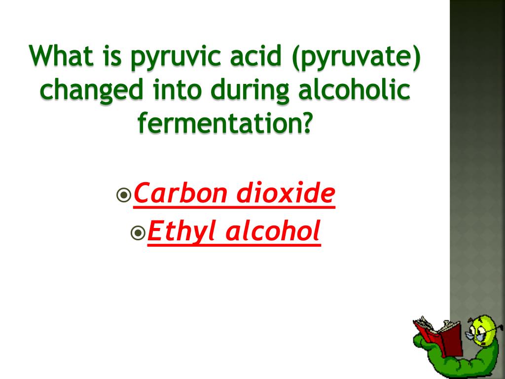alcoholic fermentation what is pyruvic acid changed into